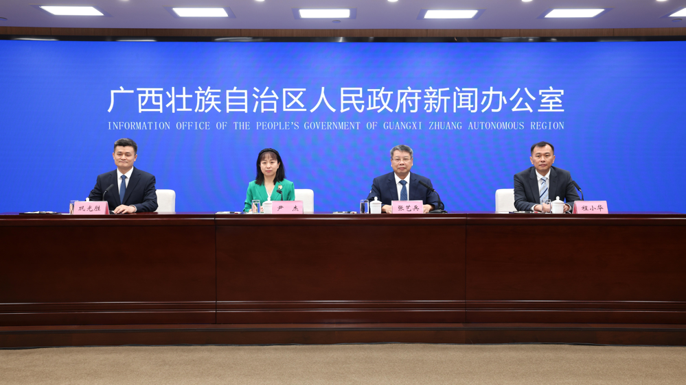 2025中国—东盟图书文化周新闻发布会现场